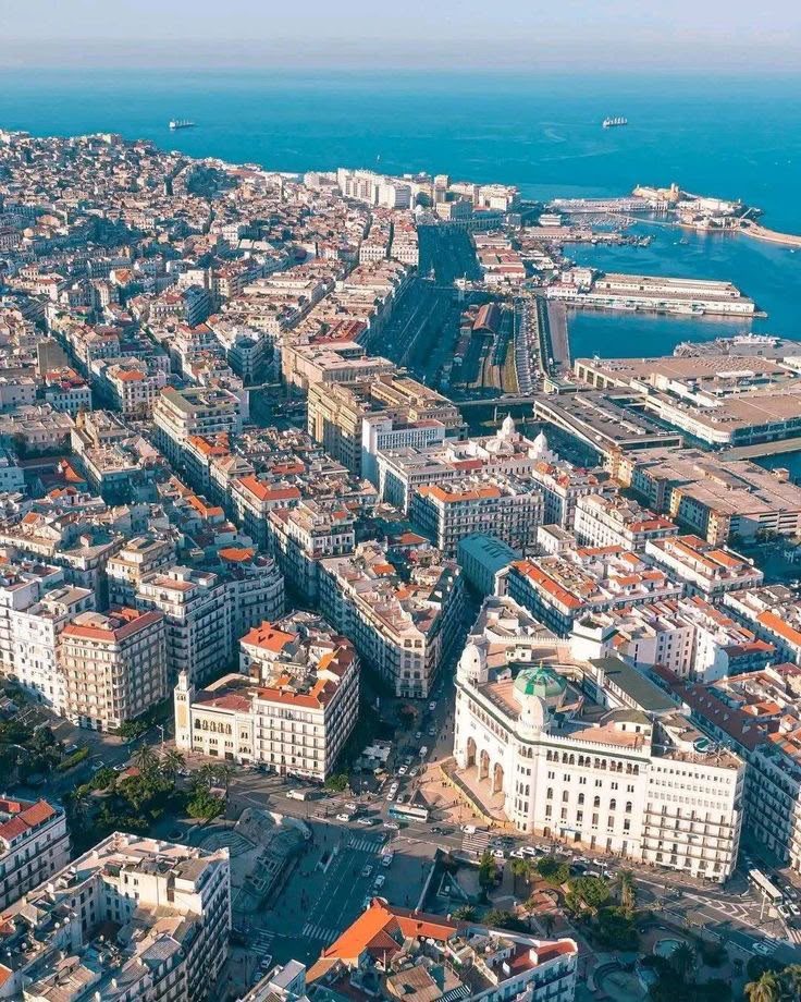 Aerial view of the white tiered buildings of Algiers above the Mediterranean