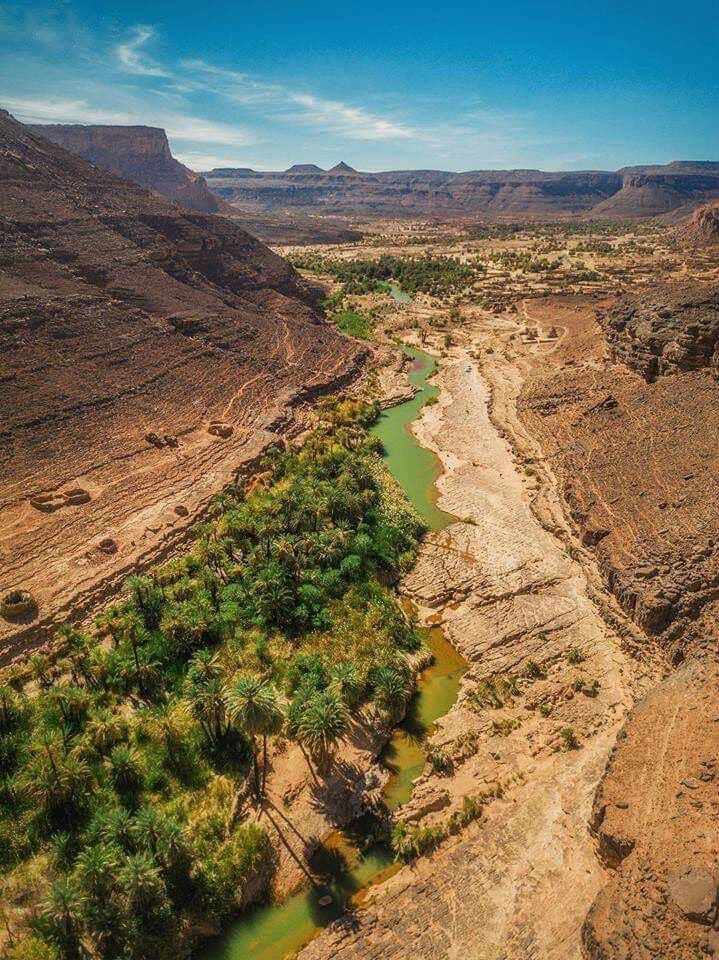 The palm-lined river at the bottom of the Ghoufi canyon in the Aurès