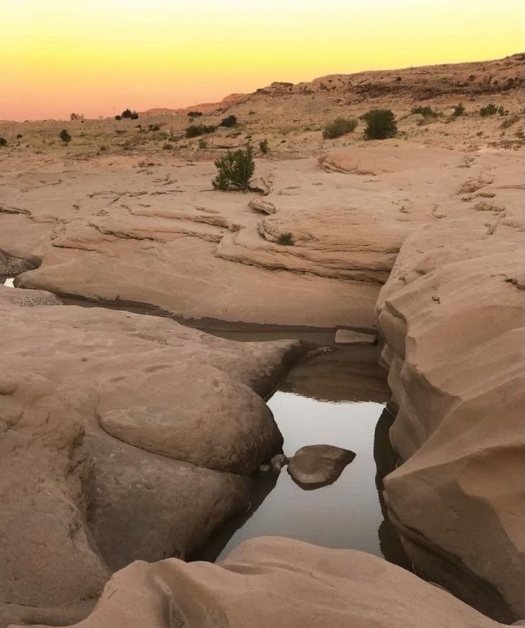 Bou Saâda Oasis