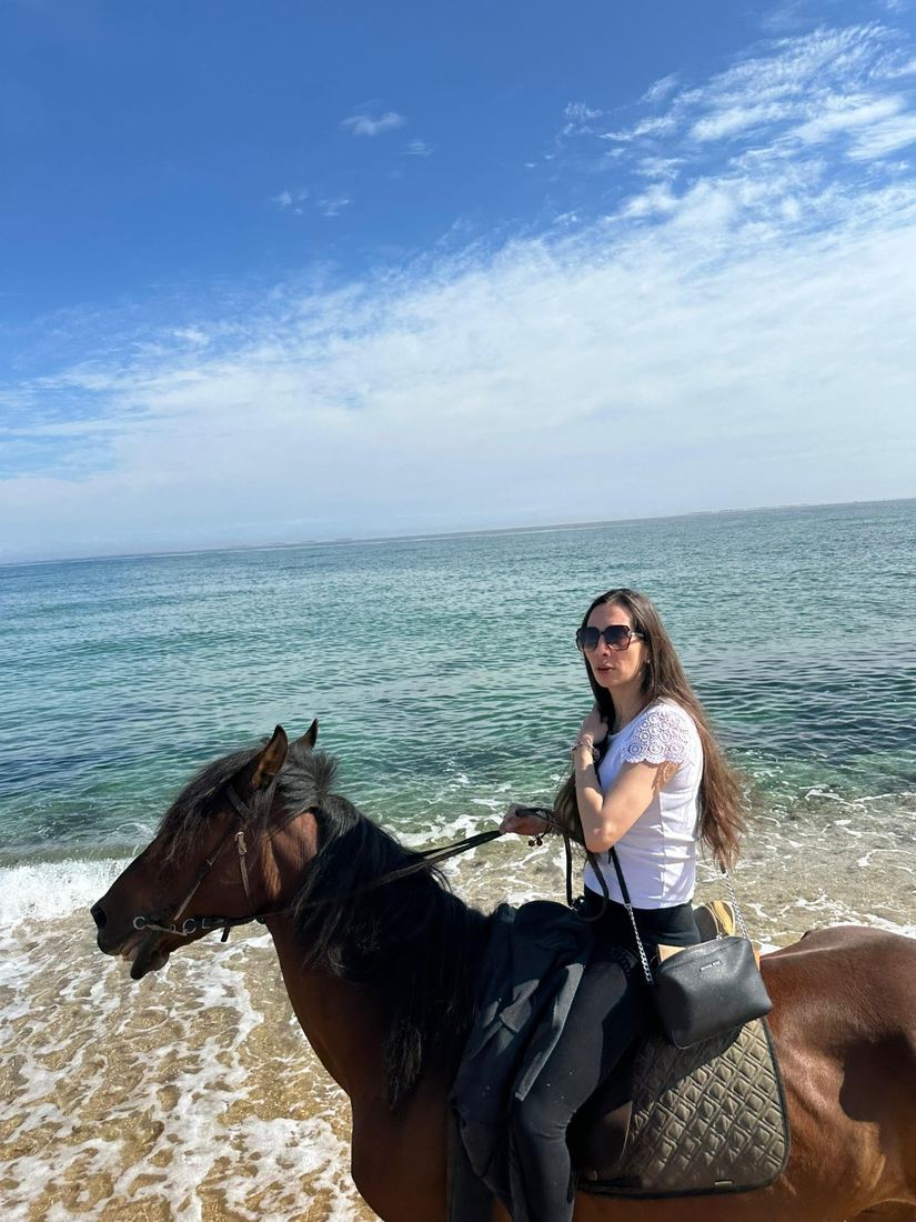 A traveller on horseback at the water's edge, the sea stretching out behind