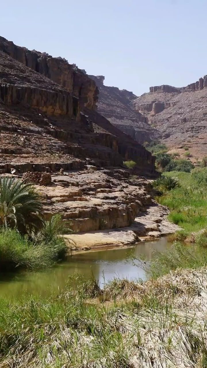 Green canyon with water in the desert near Djanet