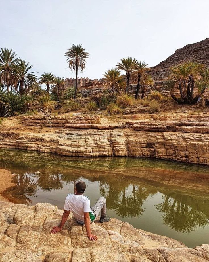 A guelta, a desert pool, fringed with palms near Djanet