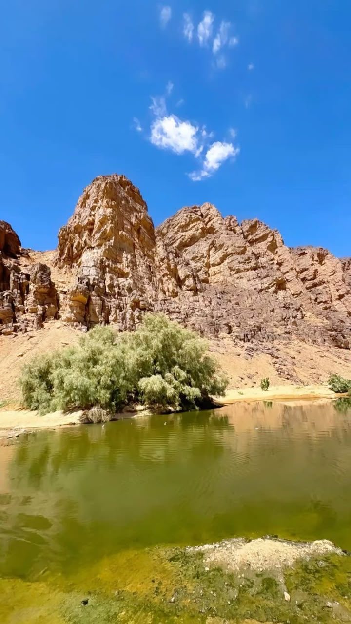 Rocky peak above a green desert pool near Djanet