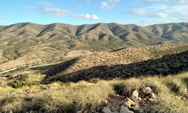 Open steppe of the High Plateaus, M'Sila