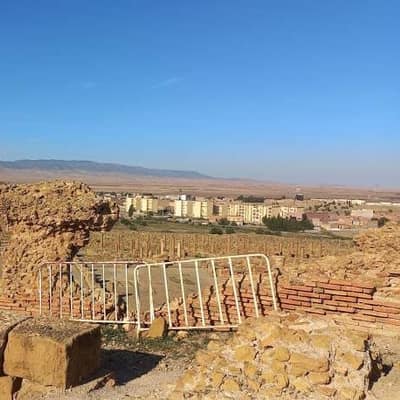 Roman Algeria — Tipaza, Djémila & Timgad (3 Days)