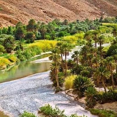 Bou Saada — 2-Day Oasis Escape