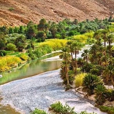 Bou Saada — 2-Day Oasis Escape