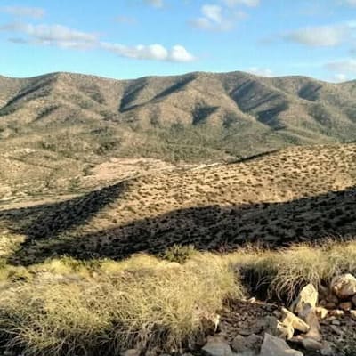 Green slopes of the Ouled Naïl mountains near Bou Saâda