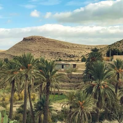 Bou Saada — 2-Day Oasis Escape