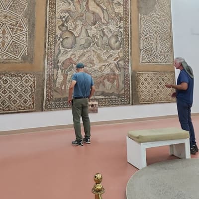 A large Roman mosaic of Venus among sea creatures, mounted in the Cirta National Museum, Constantine