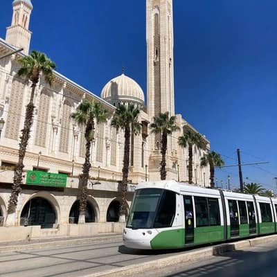 Eastern Algeria & Sahara Discovery — 6 Days