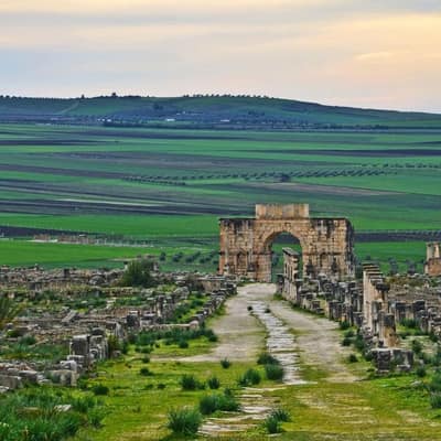 Roman Algeria — Tipaza, Djémila & Timgad (3 Days)