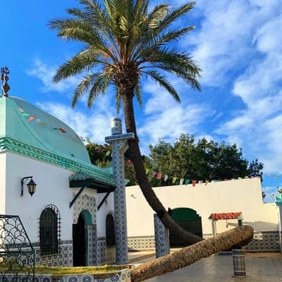 A whitewashed domed shrine beside a palm in Mostaganem