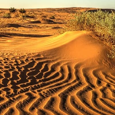 Timimoun Desert Escape — 5 Days