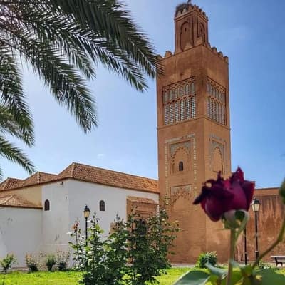 Western Algeria — Oran, Mostaganem & Tlemcen (5 Days)