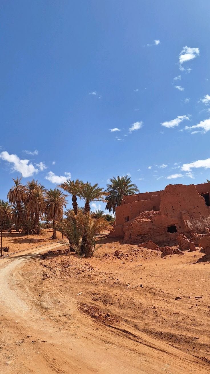 Palm grove and Saharan landscape of the Gourara, Timimoun