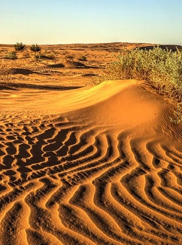 Golden Saharan dunes around Timimoun