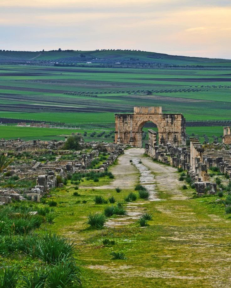 Roman temple and forum at Djémila, Algeria