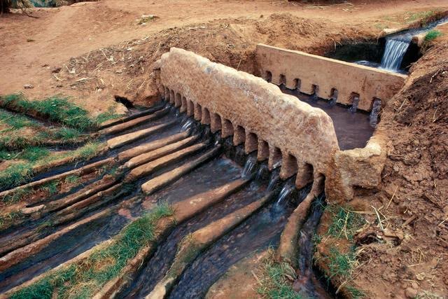 A foggara water divider in the Gourara, its comb of openings splitting the flow between garden channels