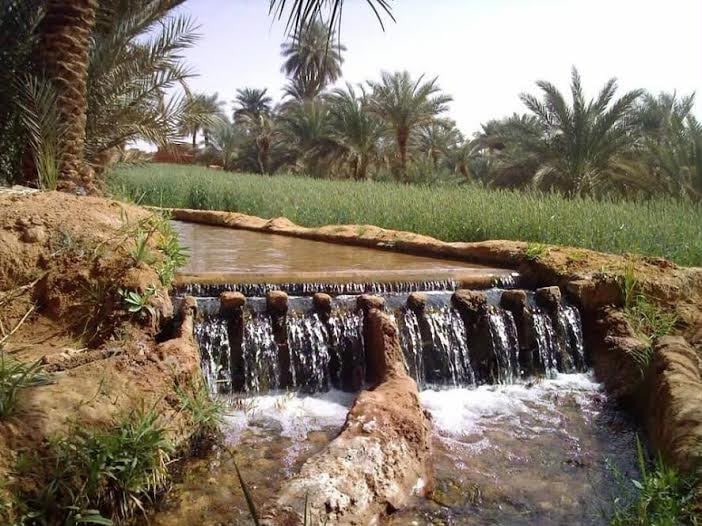 Water spilling through a foggara divider beside palm gardens in the Gourara