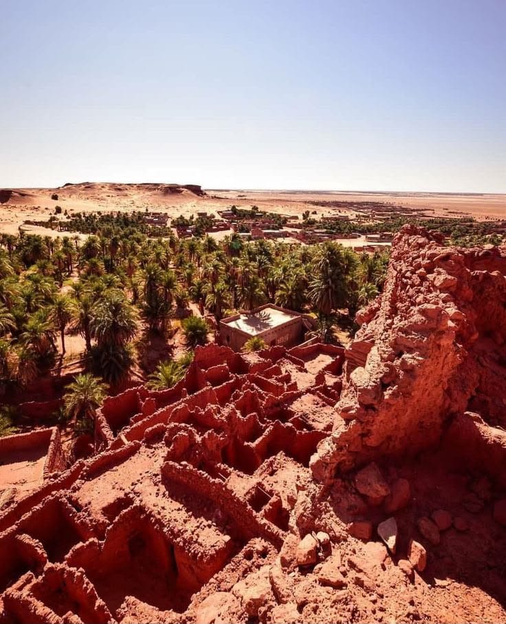 A palm oasis spreading below the crumbling red walls of a ksar in the Gourara around Timimoun