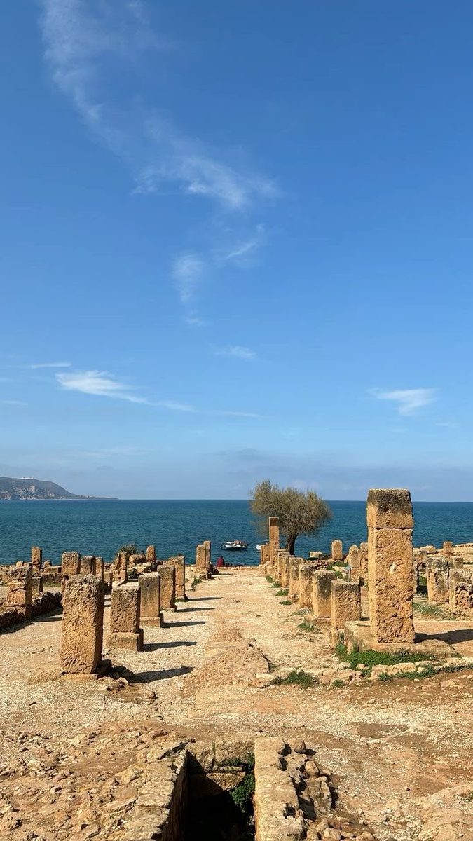 Stone ruins and an olive tree on the shore at the archaeological park of Tipaza