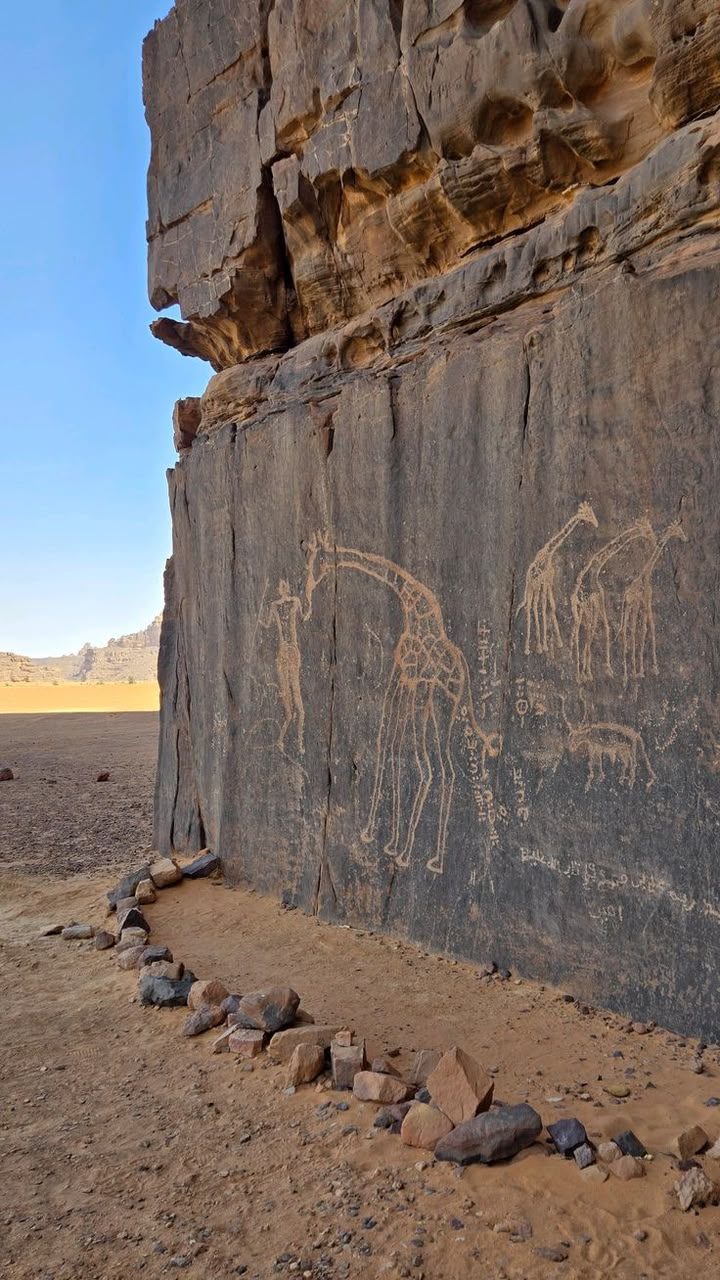 Prehistoric rock engravings in the Tassili n Ajjer, Algeria