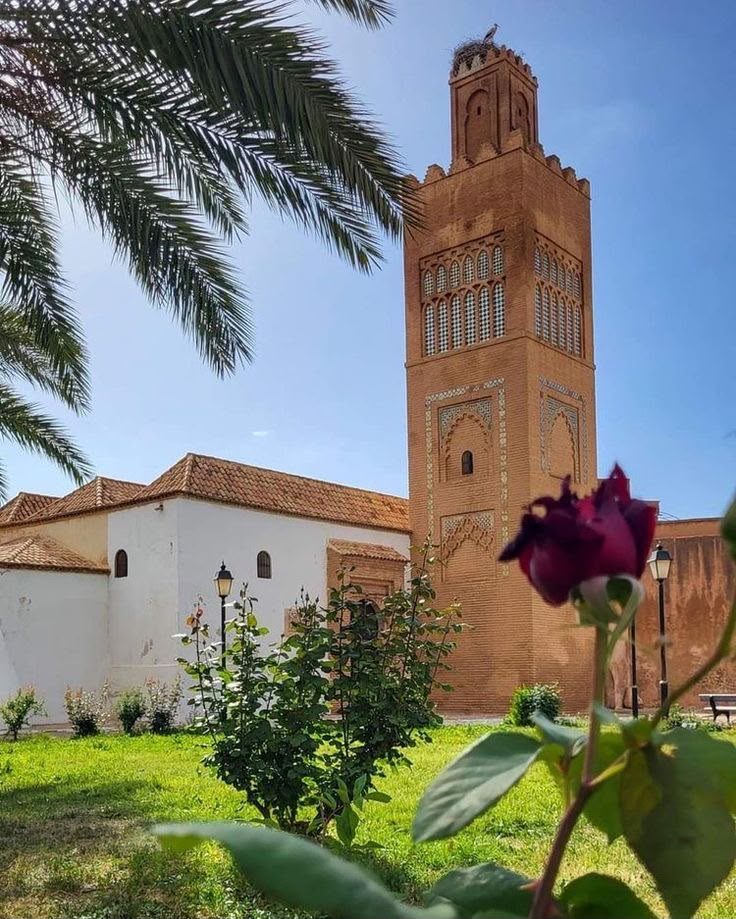 Andalusian minaret framed by palms, Tlemcen